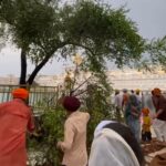 ਸ੍ਰੀ ਦਰਬਾਰ ਸਾਹਿਬ ‘ਚ ਤੇਜ਼ ਝੱਖੜ ਕਾਰਨ ਨੁਕਸਾਨੀ ਗਈ ‘ਦੁੱਖ ਭੰਜਨੀ ਬੇਰੀ’; ਟੁੱਟੀਆਂ ਟਾਹਣੀਆਂ