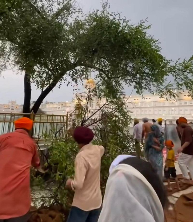 ਸ੍ਰੀ ਦਰਬਾਰ ਸਾਹਿਬ ‘ਚ ਤੇਜ਼ ਝੱਖੜ ਕਾਰਨ ਨੁਕਸਾਨੀ ਗਈ ‘ਦੁੱਖ ਭੰਜਨੀ ਬੇਰੀ’; ਟੁੱਟੀਆਂ ਟਾਹਣੀਆਂ