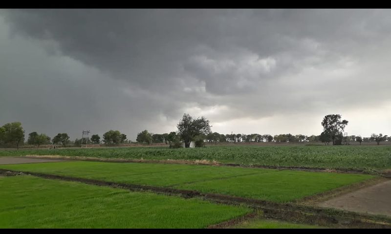 Punjab Weather: ਪੰਜਾਬ ਦੇ ਕਈ ਜ਼ਿਲ੍ਹਿਆਂ ਵਿੱਚ ਤੇਜ਼ ਹਵਾਵਾਂ ਅਤੇ ਮੀਂਹ ਦਾ ਅਲਰਟ