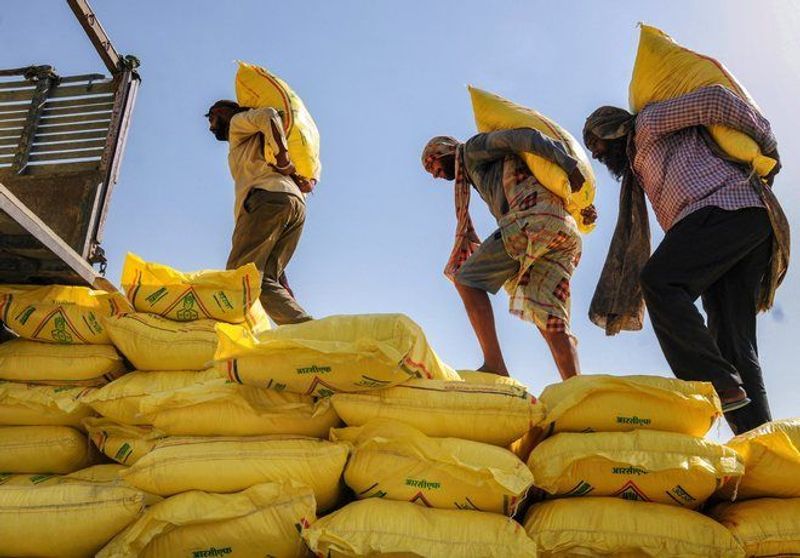Punjab DAP fertilizer: BJP ਨੇ ਕੇਂਦਰ ਕੋਲ ਡੀ ਏ ਪੀ ਦਾ ਮੁੱਦਾ ਚੁੱਕਿਆ