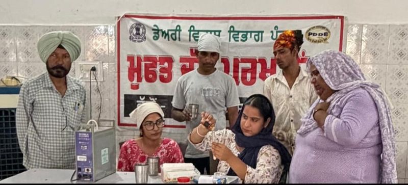 ਫੇਲ੍ਹ ਹੋਏ ਦੁੱਧ ਦੇ ਸੈਂਪਲ; ਮੋਗਾ ’ਚ ਡੇਅਰੀ ਵਿਕਾਸ ਵਿਭਾਗ ਵੱਲੋਂ ‘ਦੁੱਧ ਖਪਤਕਾਰ ਜਾਗਰੂਕਤਾ ਕੈਂਪ’ ਲਗਾਏ, ਮੌਕੇ ’ਤੇ ਕੀਤੀ ਪਰਖ