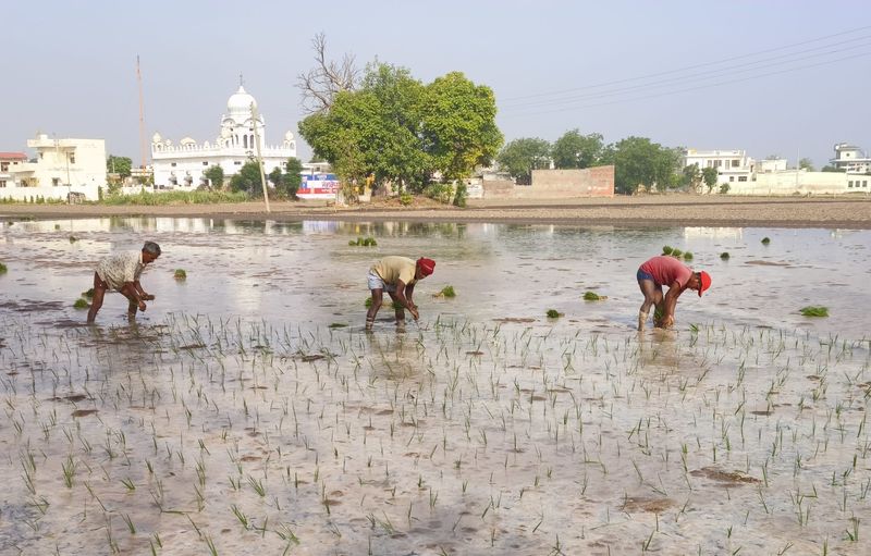 ਅਤਿ ਦੀ ਗਰਮੀ: ਪੰਜਾਬ ਵਿੱਚ ਬਿਜਲੀ ਦੀ ਮੰਗ 15 ਹਜ਼ਾਰ ਮੈਗਾਵਾਟ ਤੋਂ ਟੱਪੀ
