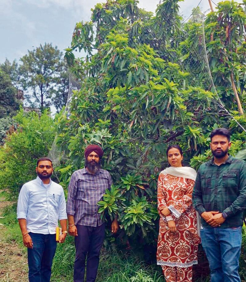 Malerkotla ਦੇ ਕਿਸਾਨ Gursimran Singh ਨੇ ਮਹਿਜ਼ 4 Acres ਜ਼ਮੀਨ ’ਤੇ 20 ਤੋਂ ਵੱਧ ਫ਼ਸਲਾਂ ਦੀ ਕਾਸ਼ਤ ਕੀਤੀ