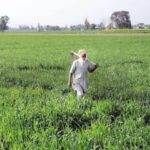 Land pooling policy: ਕਿਸਾਨਾਂ ਨੂੰ ਪਲੋਸਣ ਦੀ ਕੋਸ਼ਿਸ਼