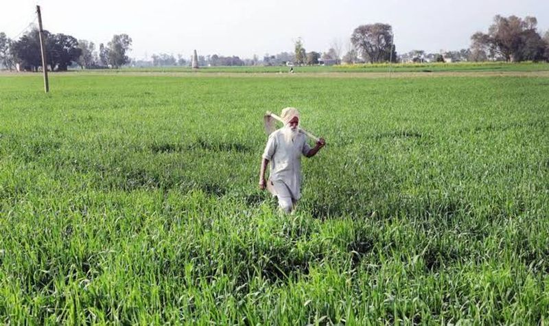 Land pooling policy: ਕਿਸਾਨਾਂ ਨੂੰ ਪਲੋਸਣ ਦੀ ਕੋਸ਼ਿਸ਼