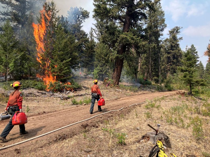 Canada wildfire: ਕੈਨੇਡਾ ’ਚ ਜੰਗਲੀ ਅੱਗ ਕਾਰਨ 20 ਹਜ਼ਾਰ ਲੋਕ ਬੇਘਰ