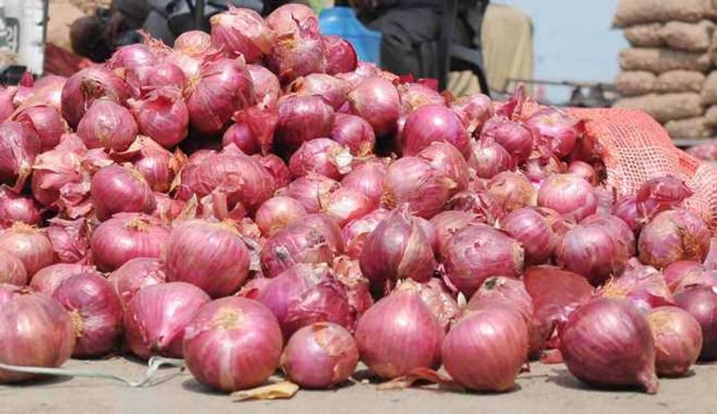 Onion Price Hike: ਪਿਆਜ਼ ਦੀਆਂ ਕੀਮਤਾਂ ਵਧੀਆਂ; ਕਈ ਸ਼ਹਿਰਾਂ ’ਚ 60 ਰੁਪਏ ਤੋਂ ਪਾਰ