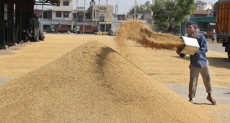 ਸੰਯੁਕਤ ਕਿਸਾਨ ਮੋਰਚਾ ਵੱਲੋਂ ਪੰਜਾਬ ਅਤੇ ਹਰਿਆਣਾ ਵਿੱਚ ਝੋਨੇ ਦੀ ਖ਼ਰੀਦ ਤੁਰੰਤ ਸ਼ੁਰੂ ਕਰਨ ਦੀ ਮੰਗ