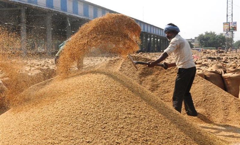 Paddy Procurement: ਝੋਨੇ ਦੀ ਖ਼ਰੀਦ ਲਈ 42,786 ਕਰੋੜ ਦੀ ਨਗਦ ਕਰਜ਼ਾ ਹੱਦ ਮਨਜ਼ੂਰ