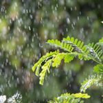 Chandigarh weather: ਚੰਡੀਗੜ੍ਹ ’ਚ ਬਦਲਿਆ ਮੌਸਮ ਦਾ ਮਿਜਾਜ਼; ਕਿਣ-ਮਿਣ ਨਾਲ ਗਰਮੀ ਤੋਂ ਰਾਹਤ