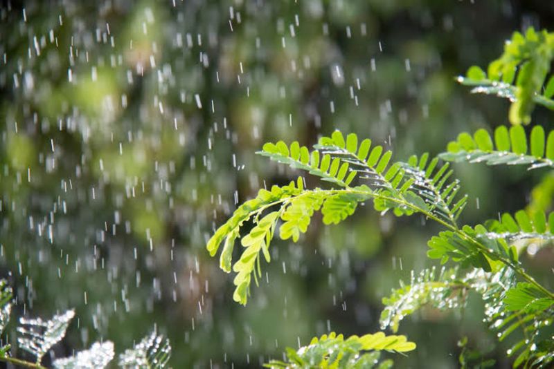 Chandigarh weather: ਚੰਡੀਗੜ੍ਹ ’ਚ ਬਦਲਿਆ ਮੌਸਮ ਦਾ ਮਿਜਾਜ਼; ਕਿਣ-ਮਿਣ ਨਾਲ ਗਰਮੀ ਤੋਂ ਰਾਹਤ