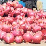 Onion Price Hike: ਪਿਆਜ਼ ਦੀਆਂ ਕੀਮਤਾਂ 60 ਰੁਪਏ ਪ੍ਰਤੀ ਕਿੱਲੋ ਤੋਂ ਨਾ ਘਟੀਆਂ