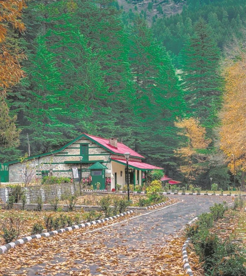 Himachal Guest Houses: ਹਿਮਾਚਲ ਪ੍ਰਦੇਸ਼ ਦੇ ਸਰਕਾਰੀ ਗੈਸਟ ਹਾਊਸਾਂ ਦੇ ਕਮਰਿਆਂ ਦਾ ਕਿਰਾਇਆ ਵਧਿਆ