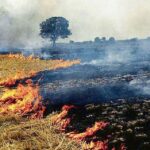 Punjab Stubble Burning: ਪੰਜਾਬ ’ਚ ਪਰਾਲੀ ਸਾੜਨ ਦੇ ਕੇਸ ਮੁੜ ਵਧੇ
