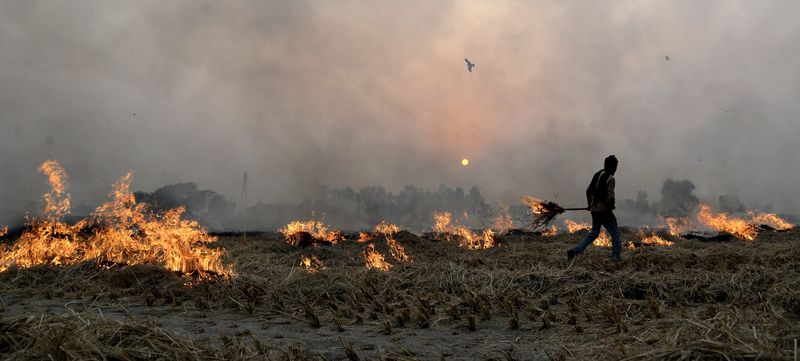 Punjab stubble burning: ਪੰਜਾਬ ਵਿੱਚ ਪਰਾਲੀ ਨੂੰ ਅੱਗ ਲੱਗਣ ਦੇ 1007 ਮਾਮਲੇ, 426 ਅਧਿਕਾਰੀਆਂ ਨੂੰ ਨੋਟਿਸ
