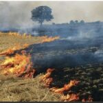 Punjab Stubble Burning: ਪਰਾਲੀ ਨੂੰ ਅੱਗ ਲਾਉਣ ਦੇ ਮਾਮਲੇ ਵਿੱਚ ਉੱਤਰੀ ਭਾਰਤ ’ਚੋਂ ਪੰਜਾਬ ਸਭ ਤੋਂ ਅੱਗੇ