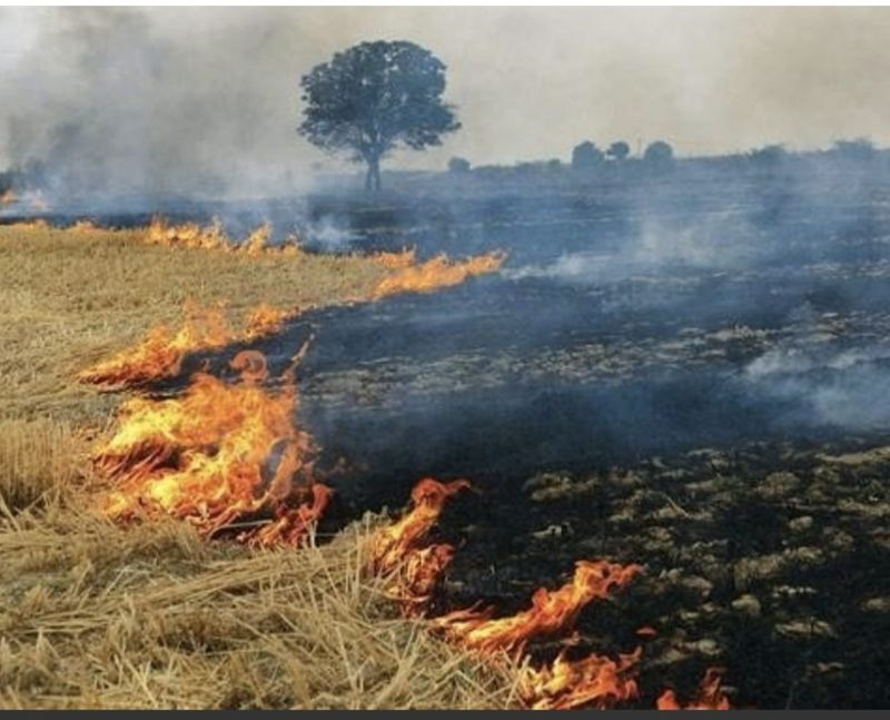 Punjab Stubble Burning: ਪਰਾਲੀ ਨੂੰ ਅੱਗ ਲਾਉਣ ਦੇ ਮਾਮਲੇ ਵਿੱਚ ਉੱਤਰੀ ਭਾਰਤ ’ਚੋਂ ਪੰਜਾਬ ਸਭ ਤੋਂ ਅੱਗੇ