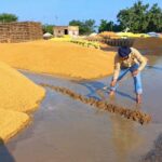 Punjab News: ਭਾਰੀ ਮੀਂਹ ਤੇ ਗੜੇਮਾਰੀ ਕਾਰਨ ਮੰਡੀਆਂ ‘ਚ ਭਰਿਆ ਪਾਣੀ; ਕਿਸਾਨਾਂ ਦੀ ਝੋਨੇ ਦੀ ਫ਼ਸਲ ਭਿੱਜੀ