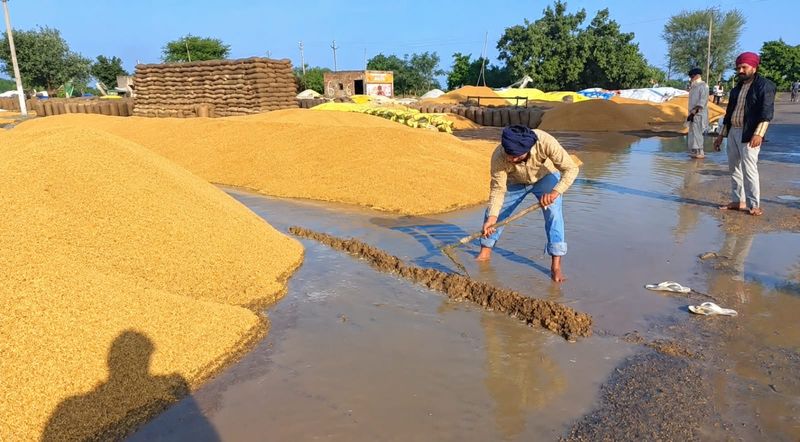 Punjab News: ਭਾਰੀ ਮੀਂਹ ਤੇ ਗੜੇਮਾਰੀ ਕਾਰਨ ਮੰਡੀਆਂ ‘ਚ ਭਰਿਆ ਪਾਣੀ; ਕਿਸਾਨਾਂ ਦੀ ਝੋਨੇ ਦੀ ਫ਼ਸਲ ਭਿੱਜੀ
